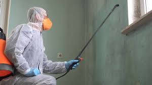 Why You Should Choose Our Mold Remediation Services in Mcgaheysville, VA